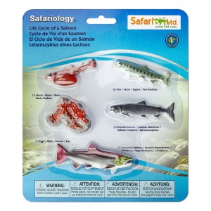 Cykl Życia Łososia. Zestaw Figurek Safari Ltd.  