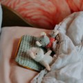 BT140001_MHSJ_PLUSH_JULIA_AMBIANCE_08.jpg