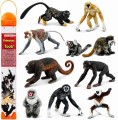 ssaki naczelne figurki małp  i naczelnych Safari ltd