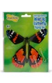 CG24079BUTTERFLY.jpg