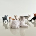 Produktowe-10.jpg