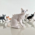 Produktowe-1.jpg