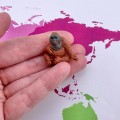 mini figurki safari zwierzeta egzotyczne motntessori.jpg